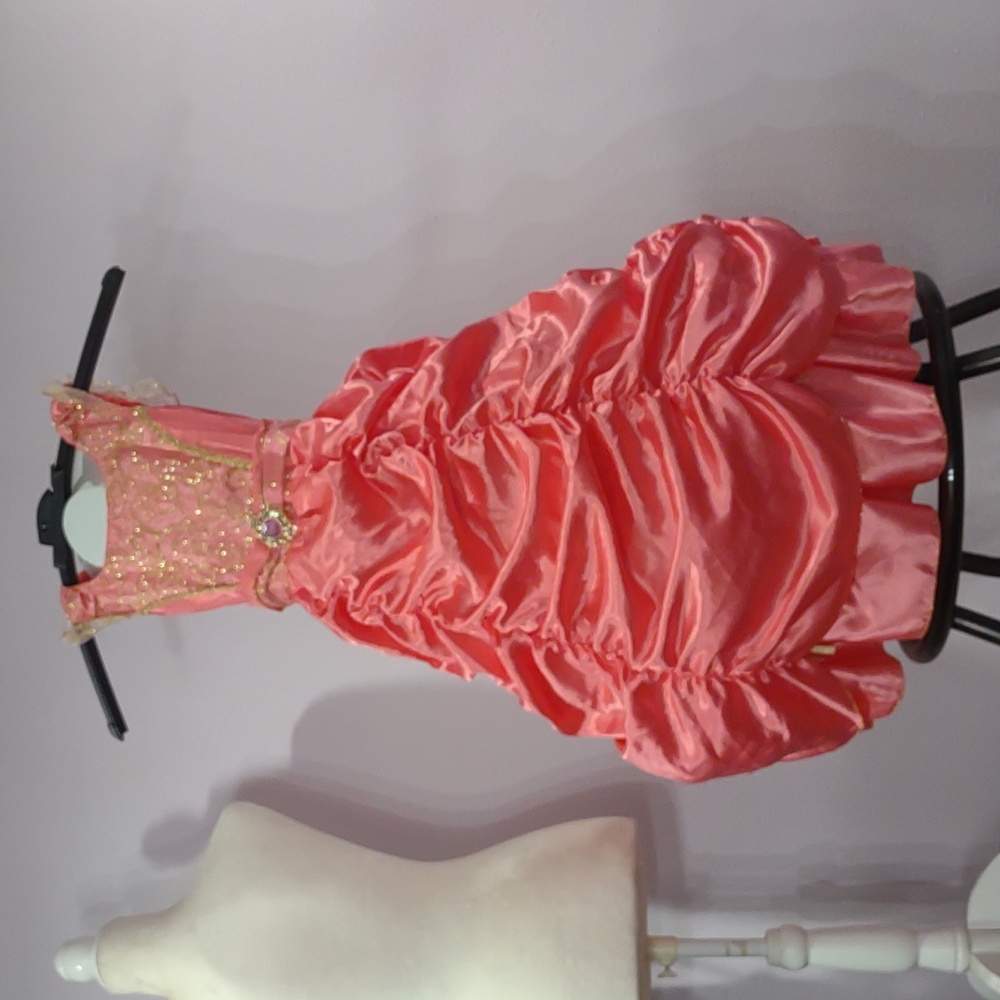 Size 5-6 Pink Princess Dress with Hoop Skirt